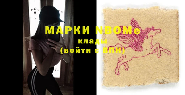 шишки Краснотурьинск