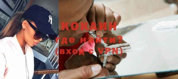 шишки Краснослободск