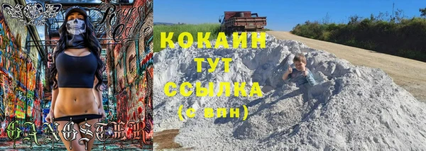 шишки Краснослободск