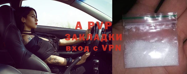 спайс Корсаков
