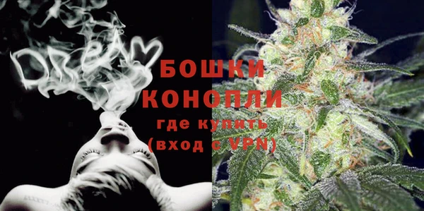 шишки Краснотурьинск