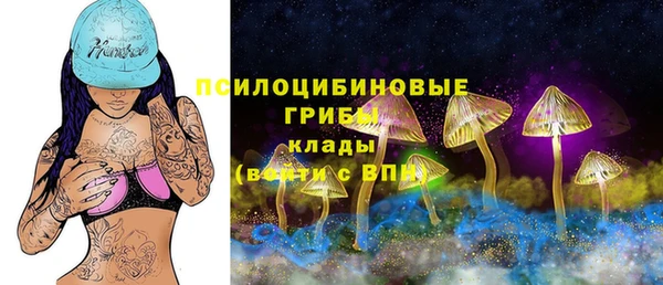 МДПВ Кулебаки