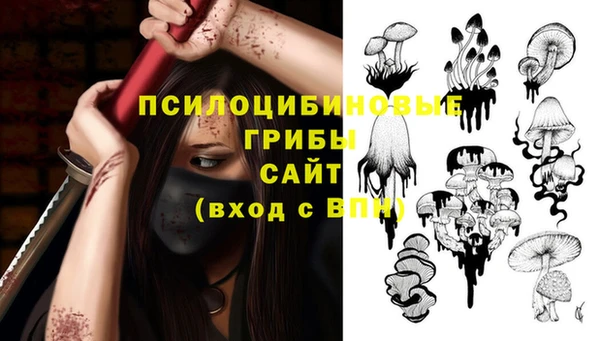 шишки Краснотурьинск