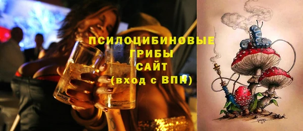 шишки Краснослободск
